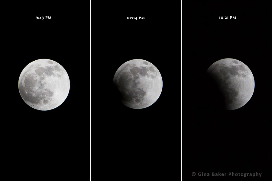 MoonTriptych1web