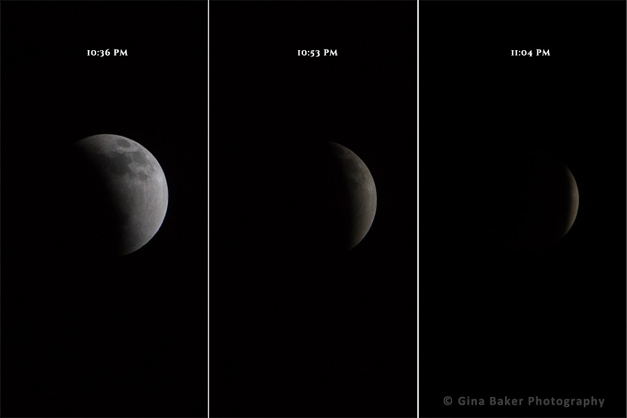 MoonTriptych2web